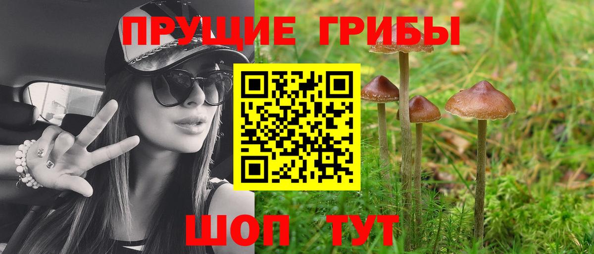 Галлюциногенные грибы ЛСД  Галлюциногенные грибы Psilocybe  Вход с VPN  Новоуральск 